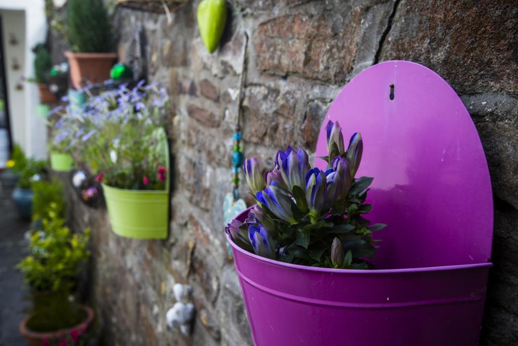 The Moda House Chipping Sodbury Exteriér fotografie